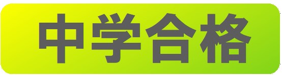 中学