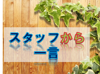 スタッフから一言